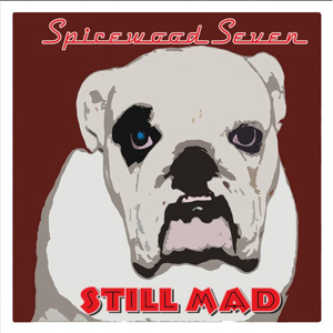 Spicewood Seven - Still Mad, omslag
